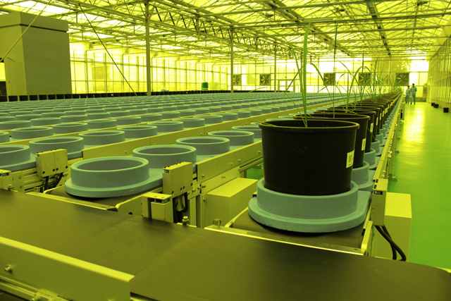 萬賓科技攻克“十三五”關(guān)鍵技術(shù)和產(chǎn)品，實現(xiàn)作物表型平臺中國智造(圖4)