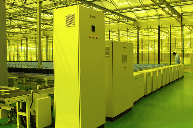 省委副書記率省委農(nóng)辦領(lǐng)導(dǎo)調(diào)研水稻表型智慧平臺(圖2)